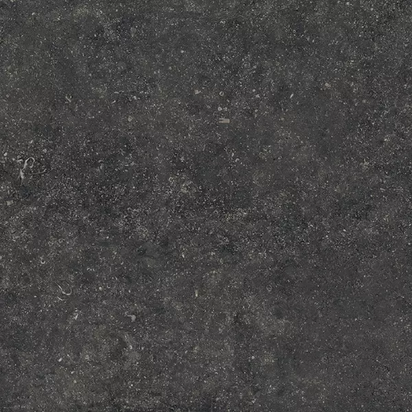 

Напольная плитка «Italon» Room Matt. 60x60 610015000420 black stone
