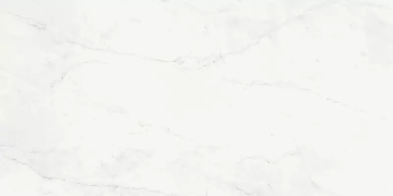 

Напольная плитка «Italon» Charme Deluxe Michelangelo Matt. 120x60 610015000494 bianco