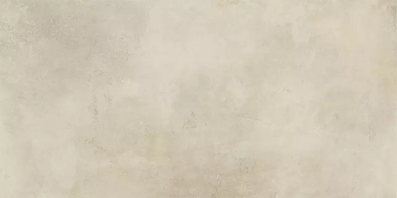 

Напольная плитка «Italon» Millennium Matt. 120x60 610010001457 dust