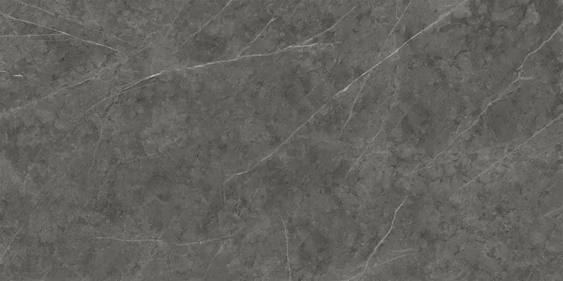 

Напольная плитка «Italon» Charme Evo Matt. 160x80 610010001685 antracite