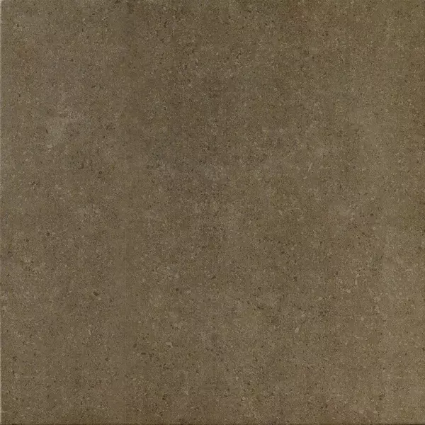 

Напольная плитка «Italon» Auris Matt. 60x60 610010000711 moka