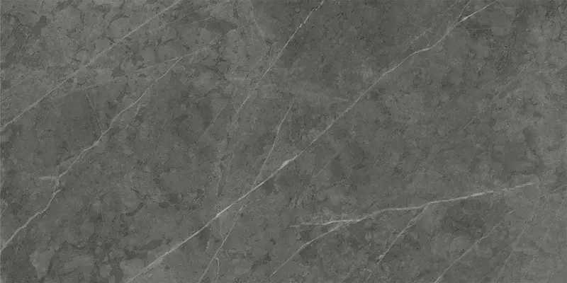 

Напольная плитка «Italon» Charme Evo Lux Glossy 120x60 610015000406 antracite