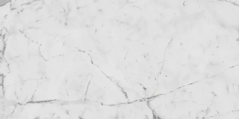 

Напольная плитка «Italon» Charme Evo Cerato Matt. 60x30 610015000235 statuario