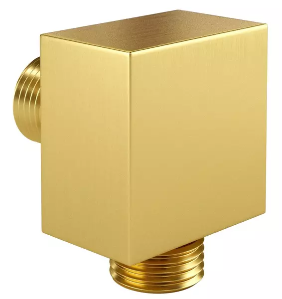 Подключение для душевого шланга «WasserKRAFT» A177 матовое золото