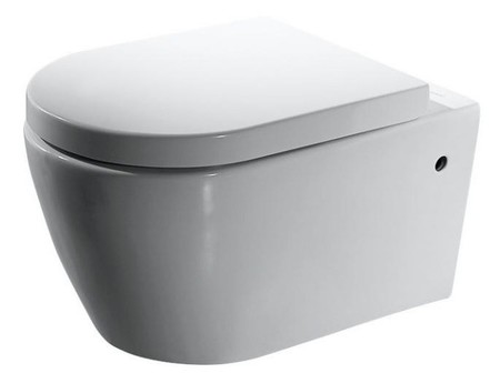 Подвесной унитаз Bravat Gina C2190UW-ENG белый с сиденьем дюропласт с микролифтом белое 29685₽