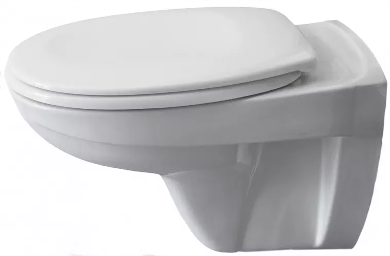 

Подвесной унитаз безободковый «Pestan» Fluenta Basic 40006460 белая с сиденьем дюропласт с микролифтом белое