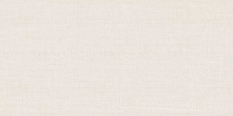 

Настенная плитка «Alma Ceramica» Asteria 50x24,9 TWU09ATR024