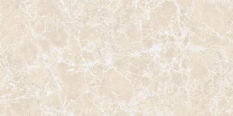 

Напольная плитка «Realistik» Imperatore Polished 120x60 53095 beige