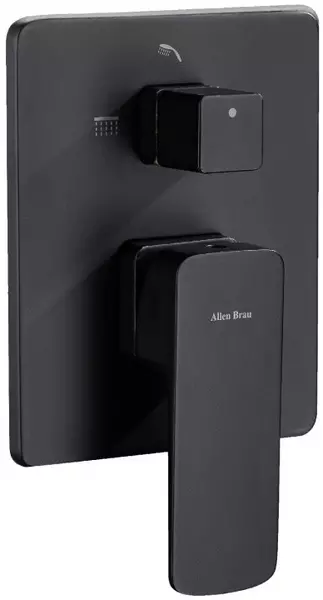 

Смеситель для душа «Allen Brau» Infinity 5.21014-31 чёрный матовый