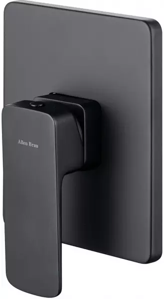 

Смеситель для душа «Allen Brau» Infinity 5.21015-31 чёрный матовый