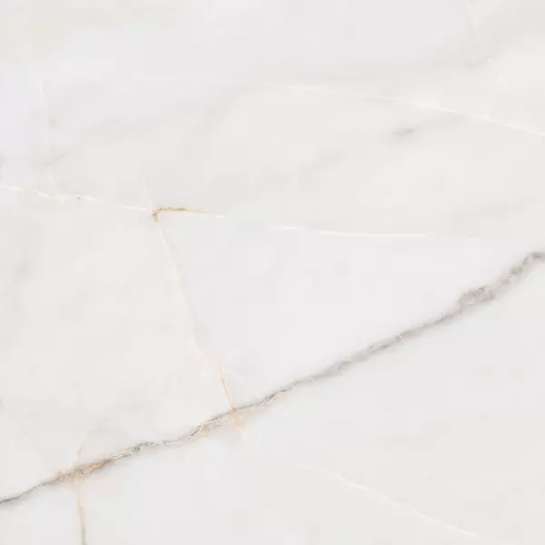 

Напольная плитка «Undefasa» Essenza PW R 80x80