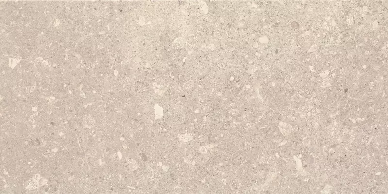 

Настенная плитка «Ceramika Paradyz» Aragorn Matt. 60x30 light grys