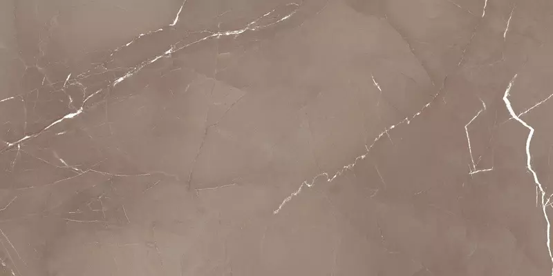 

Напольная плитка «Azteca» Pandora Lapp. 120x60 taupe