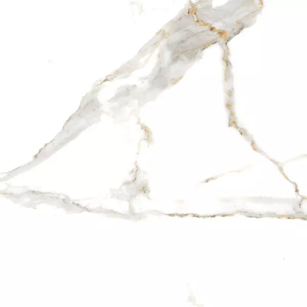 

Напольная плитка «Velsaa» Satvario Gold 60x60 00-00406651