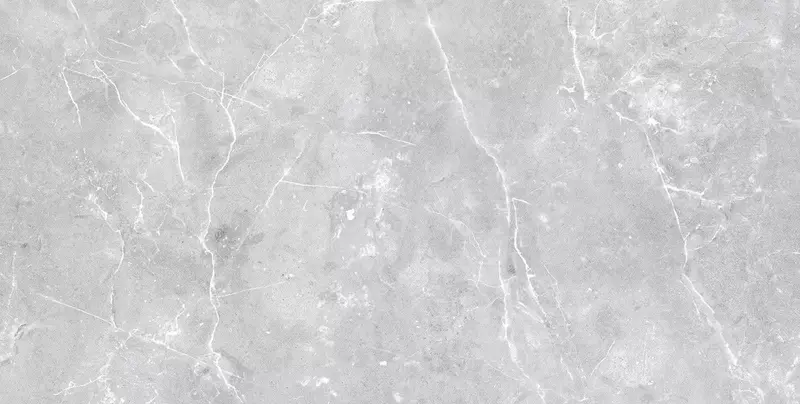 

Напольная плитка «Velsaa» Selection Grigo Grey 120x60 00-00365080
