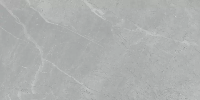 

Напольная плитка «LB-CERAMICS» Ниагара Matt. 60x30 6260-0005 серый