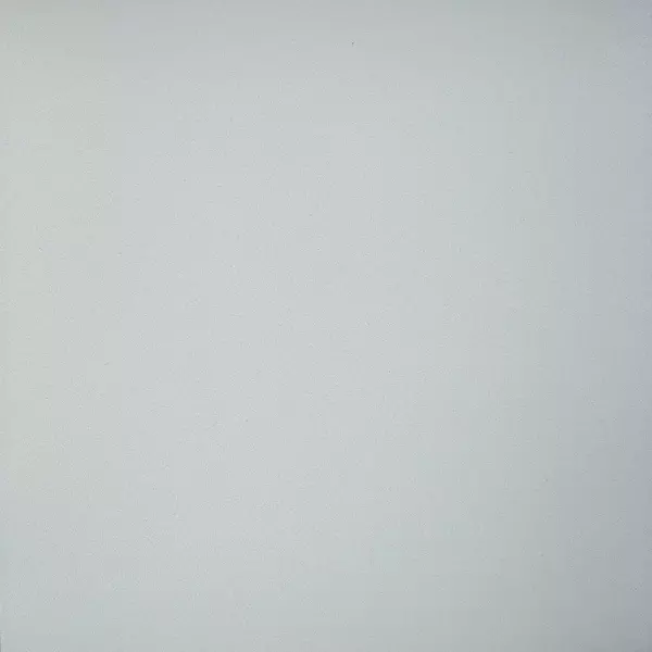 

Напольная плитка «Грани Таганая» Профи Matt. 60x60 GT009M светло-серый