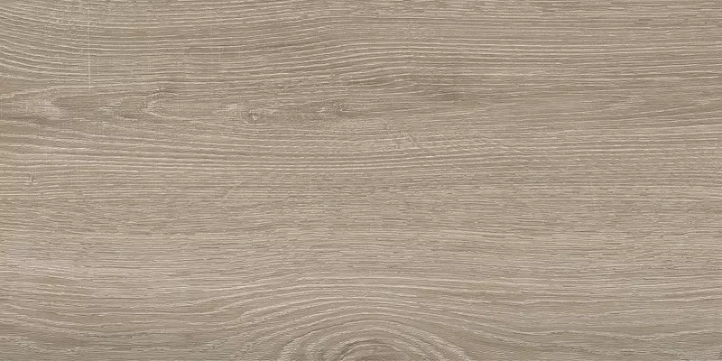 

Напольная плитка «LB-CERAMICS» Винтаж Вуд Matt. 60x30 6260-0019 натуральный