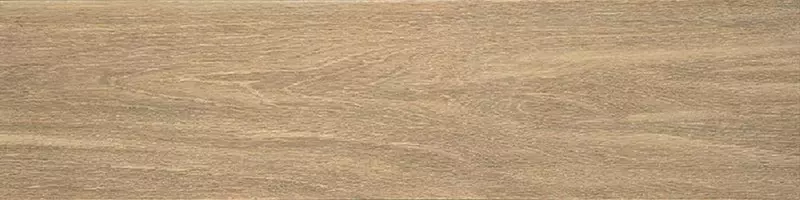

Напольная плитка «Kerama Marazzi» Фрегат Matt. 80x20 SG701790R медовый