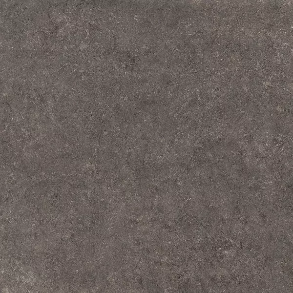 

Напольная плитка «Керамин» Флокк 4 Matt. 60x60 СК000039267 коричневый