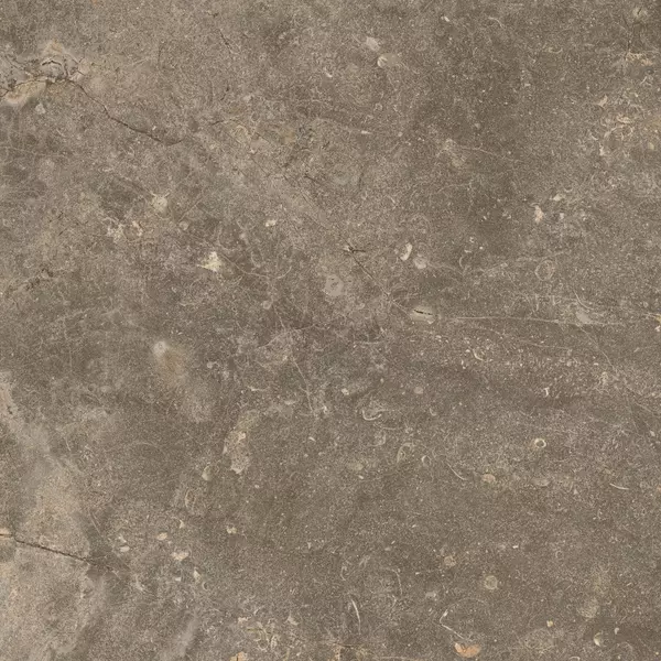 

Напольная плитка «Coliseumgres» Cervinia Matt. 45x45 610010001441 земля