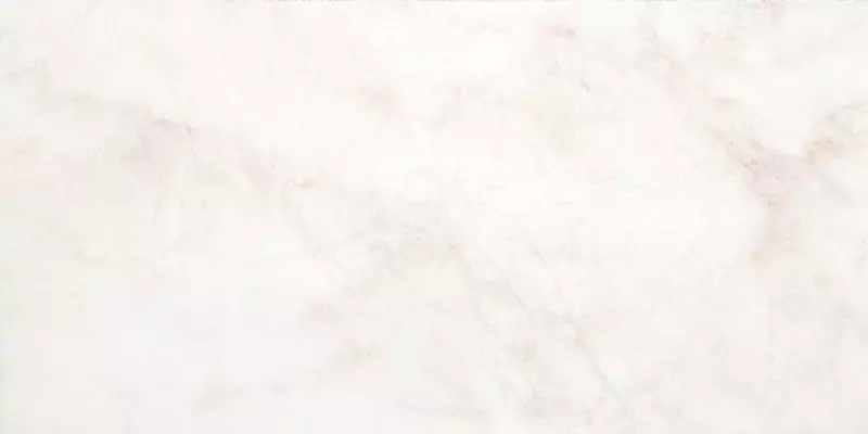 

Настенная плитка «Belleza» Нежность 50x25 00-00-5-10-00-11-350 светло-бежевый