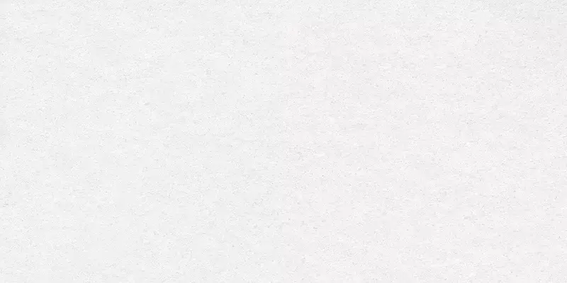 

Напольная плитка «Delacora» Absolute Matt. 120x60 D12038M ice