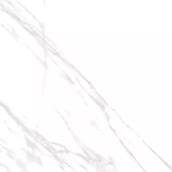 

Напольная плитка «Axima» Флорида Matt. 40x40 СК000039522 белый