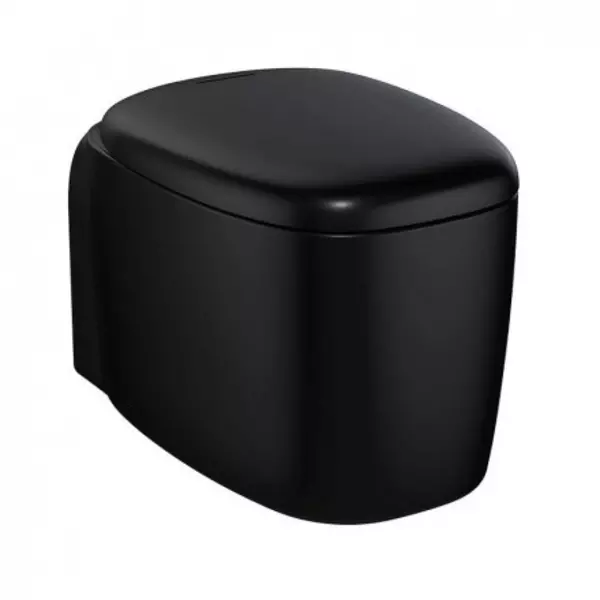 

Подвесной унитаз безободковый «Vitra» Plural Rim-Ex 7830B483-0075/Plural 126-083-009 черный с сиденьем дюропласт с микролифтом чёрное