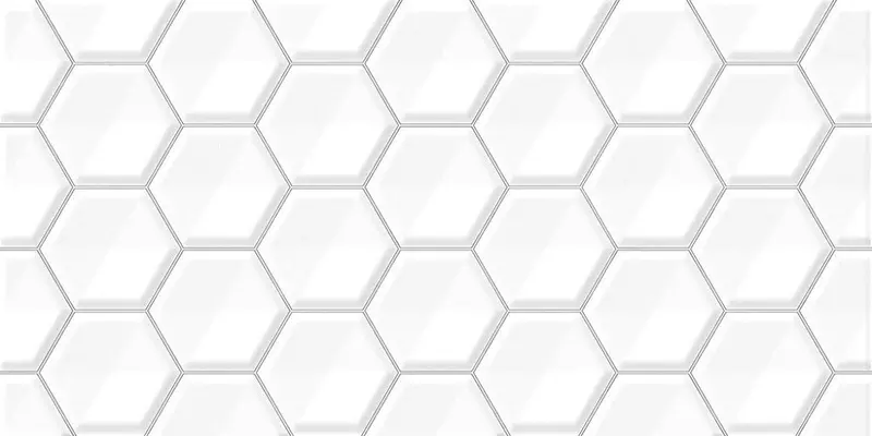 

Настенная плитка «Alma Ceramica» Bilbao Glossy 50x24,9 TWU09BLB010 белый