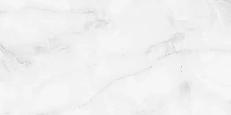 

Напольная плитка «Staro» Palacio Antisky Polish. 120x60 С0005123 grey light