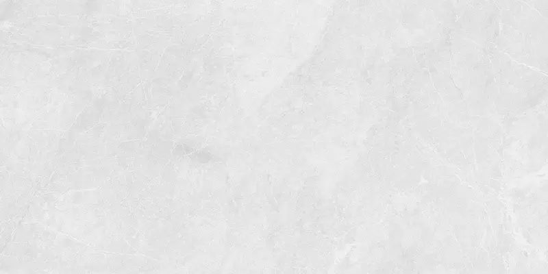 

Напольная плитка «Staro» Slim Barcelona Matt. 120x60 С0005089 bianco
