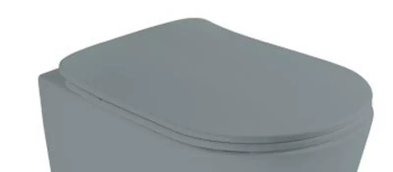 Сиденье для унитаза «Axa» Eva AF8809 ультратонкое дюропласт с микролифтом серое матовое