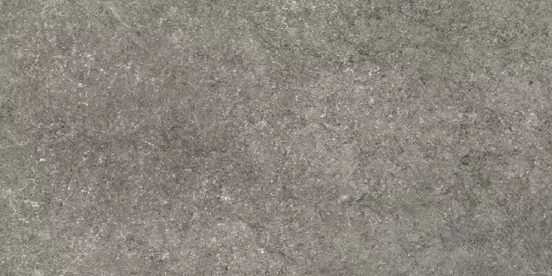 

Напольная плитка «Neodom» Splendida Sandstone Matt. 120x60 N12032 nero