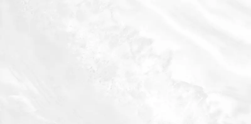 Настенная плитка «AltaCera» Palmira Glossy 50x24,9 WT9PAL00 light