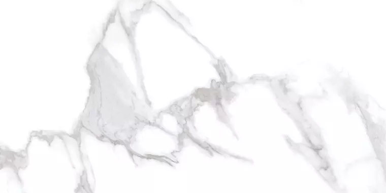 

Напольная плитка «Gravita» Calacatta Smoke Polish. 120x60 78801648 white