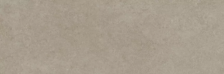 

Настенная плитка «Argenta Ceramica» Rex Matt. 90x30 921347 taupe