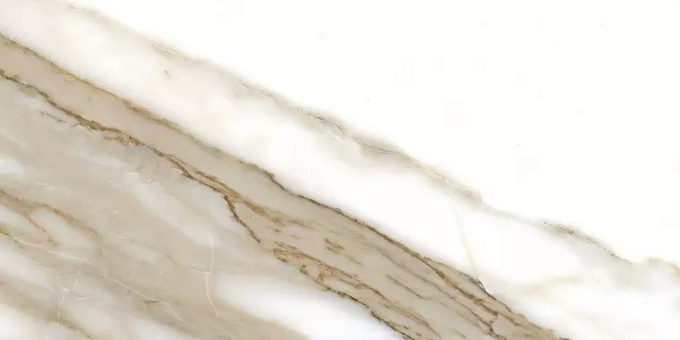 

Напольная плитка «Fanal» Calacatta Gold NPlus 120x60 918760 gold