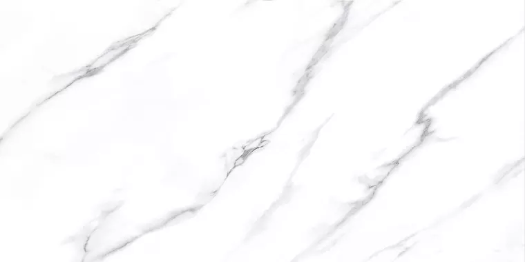 

Напольная плитка «Fanal» Carrara NPlus 120x60 918763 белый