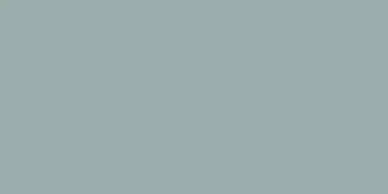 

Напольная плитка «Staro» Slim Spring Matt. 120x60 С0005196 silver