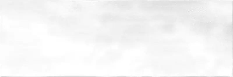 

Настенная плитка «Alma Ceramica» Style 60x20 TWA11STL007 светло-серый