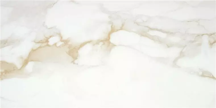 

Напольная плитка «STN Ceramica» Camile 120x60 919592 gold