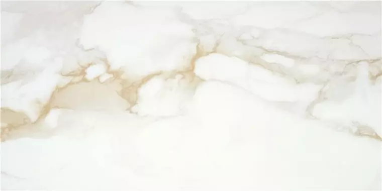 

Напольная плитка «STN Ceramica» Camile Satin. 120x60 919593 gold