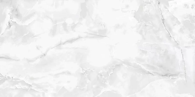 

Напольная плитка «Ecoceramic» Eternal Calacatta 017 Matt. 120x60 921777 white