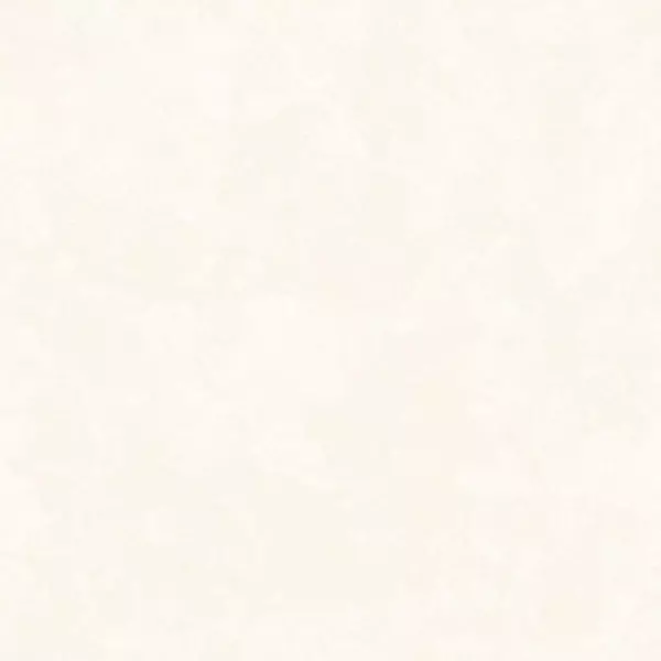 

Напольная плитка «Eurotile Ceramica» Madeni 571 Glossy 49,5x49,5 GrK00009175 light