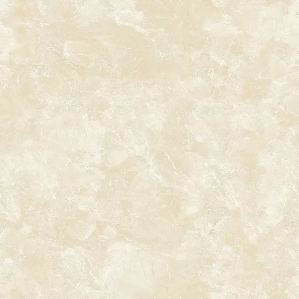 

Напольная плитка «Eurotile Ceramica» Madeni 574 Glossy 49,5x49,5 GrK00009176 beige