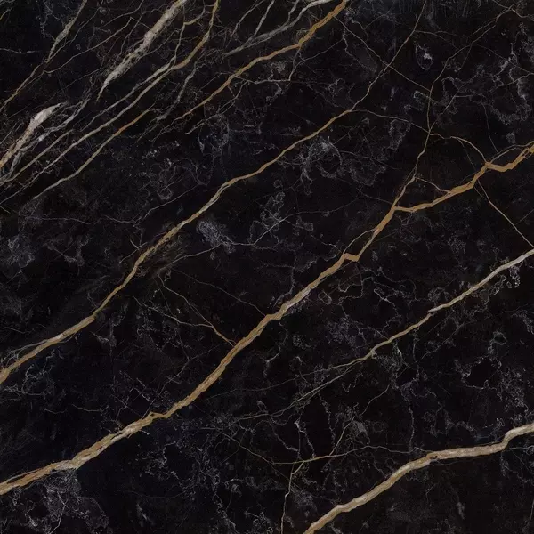 

Напольная плитка «Eurotile Ceramica» Gold 652 Glossy 49,5x49,5 GrK00017336 чёрный