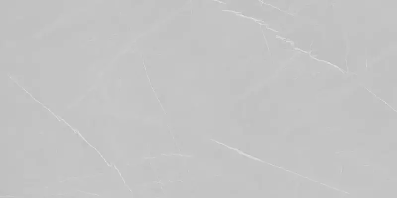 

Напольная плитка «Eurotile Ceramica» Pietra 906 Matt. 160x80 01-00043918 gray