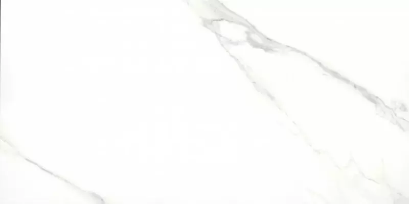 

Напольная плитка «Eurotile Ceramica» Amina 717 Polish. 120x60 01-00040874 calacatta