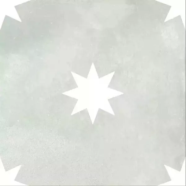 

Напольная плитка «Realonda Ceramica» Star Sage 44,2x44,2 00000016709 серый
